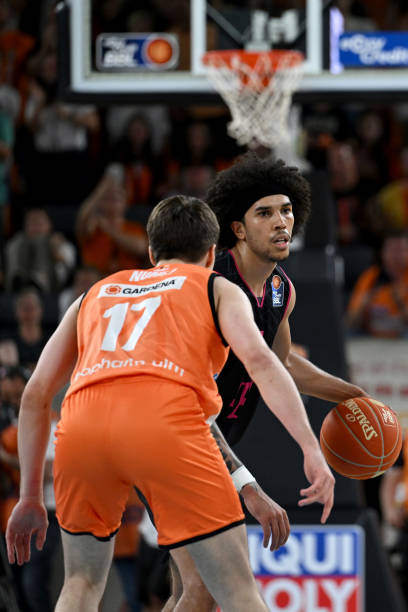 入了新的活 入了新的活