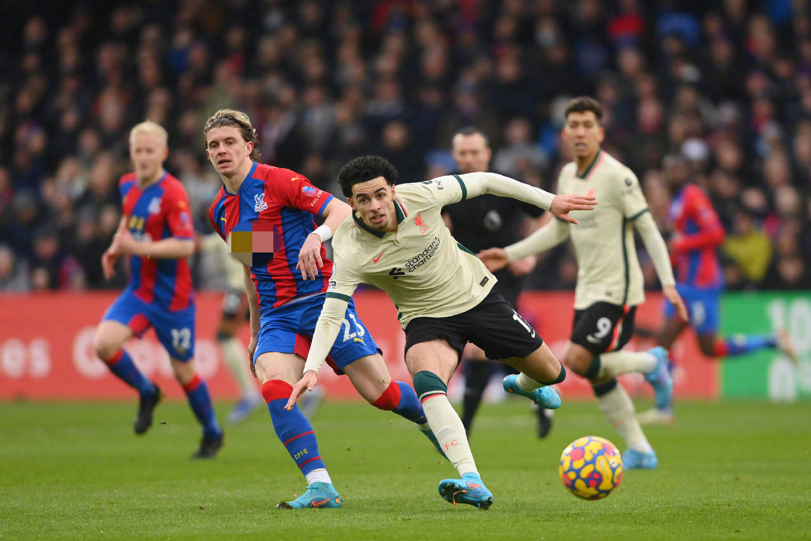 续了这种 续了这种